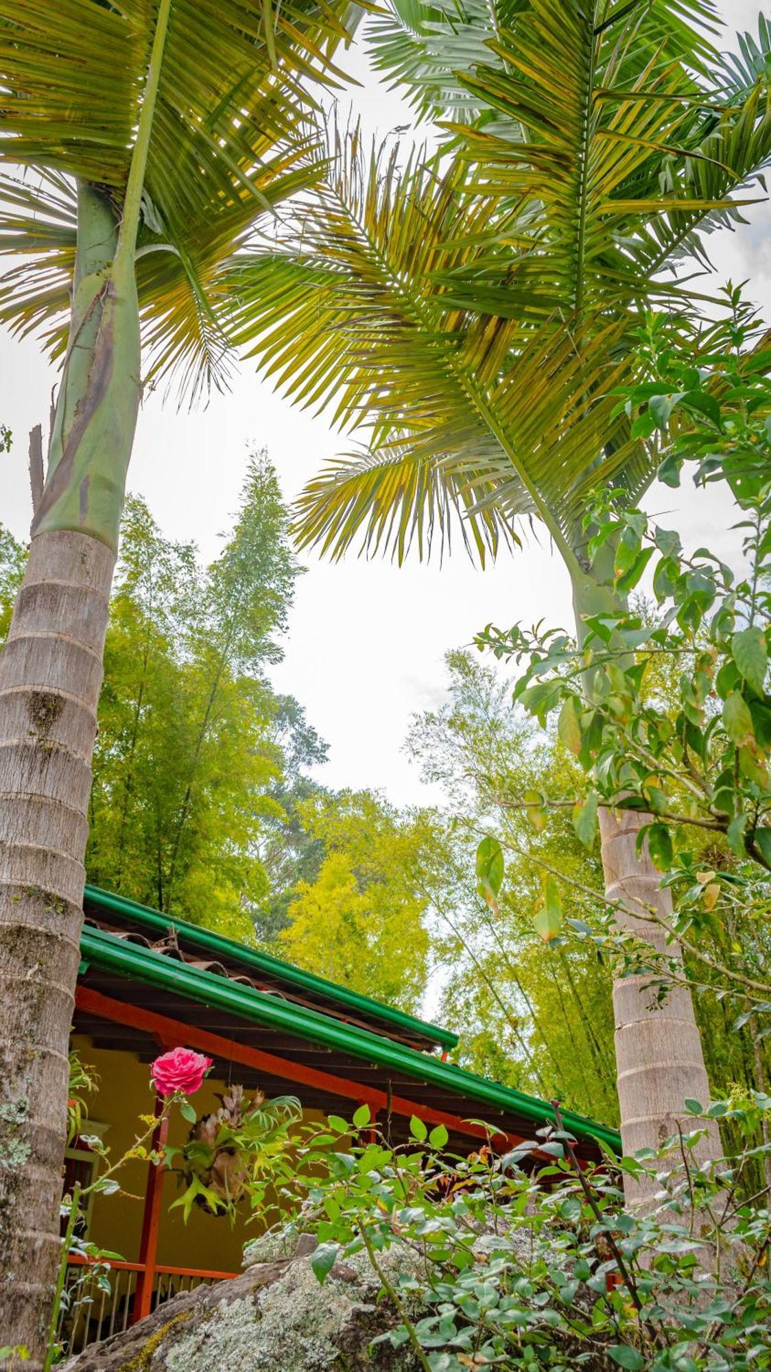 Kantarrana Chalet *