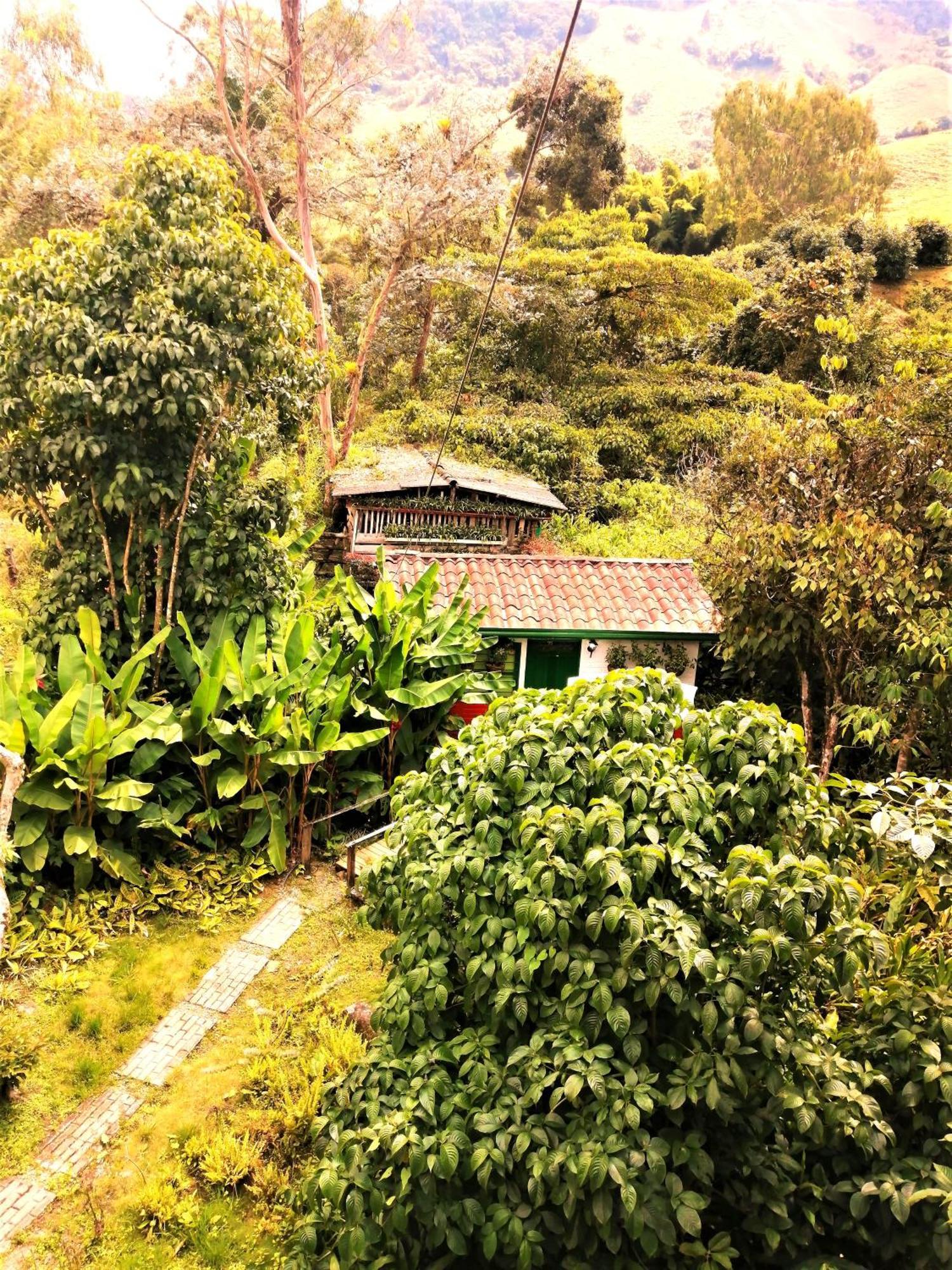 Kantarrana Chalet Jardín