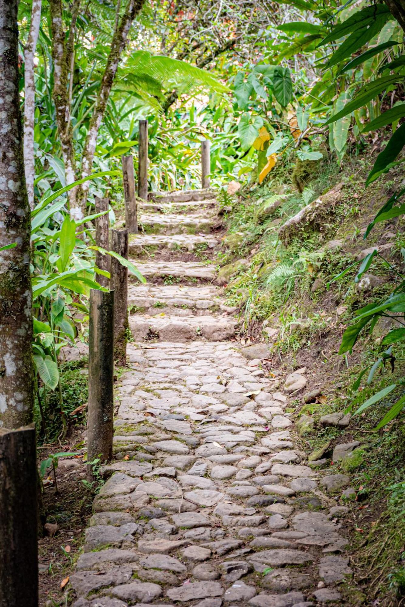 Kantarrana * Jardin