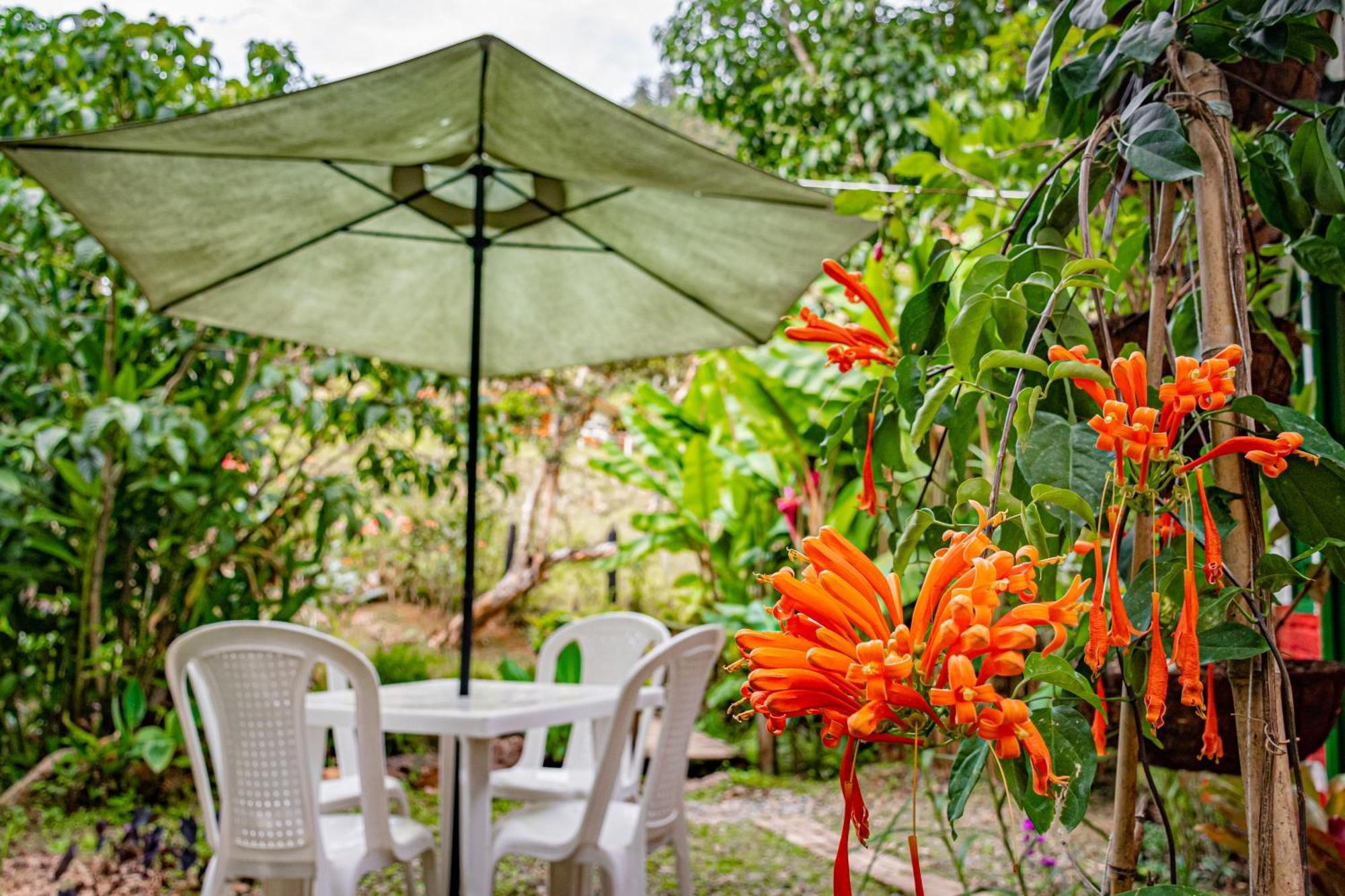 Kantarrana * Jardin