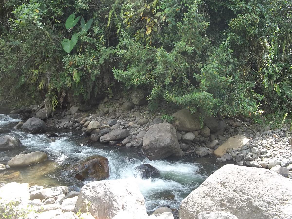 Kantarrana Chalet Jardin