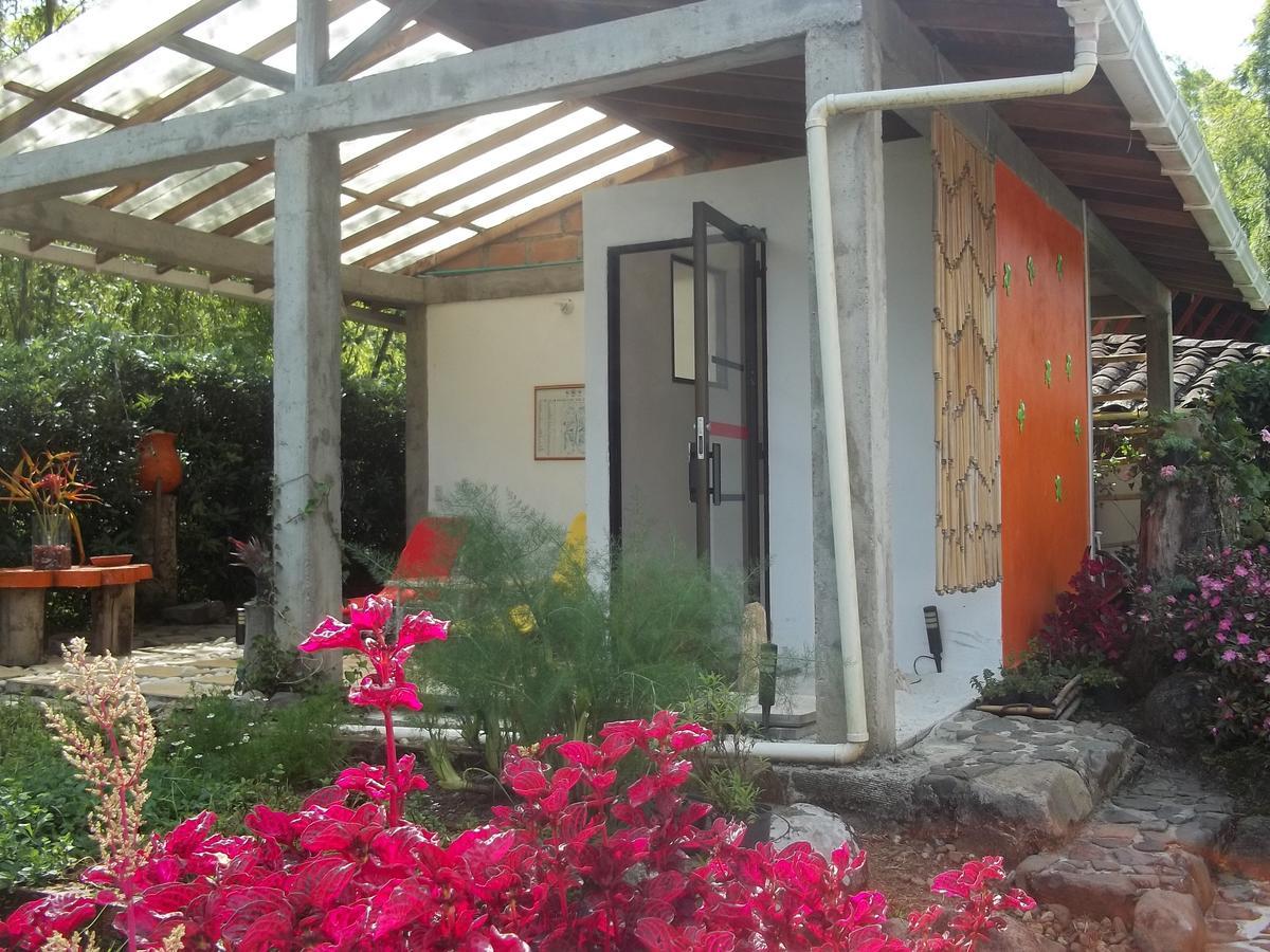 Kantarrana * Jardín